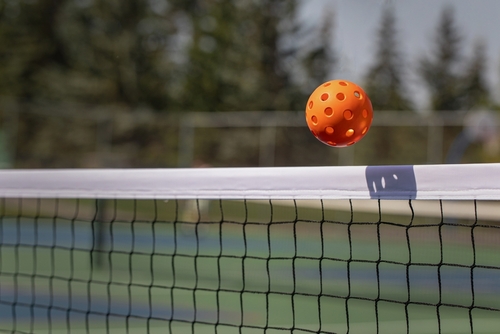 Pick Up a Pickleball Paddle